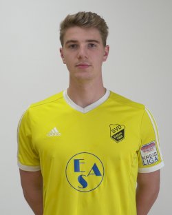 Niklas Lingers