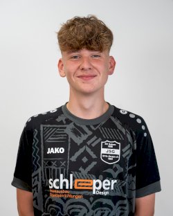 Johannes Laake