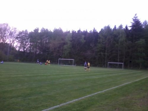 Halbfinale 2014