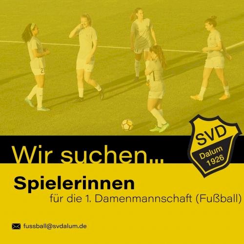 Wir suchen Dich!!!